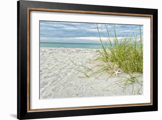 Star Fish and Sea Oats-Mary Lou Johnson-Framed Art Print