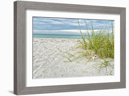 Star Fish and Sea Oats-Mary Lou Johnson-Framed Art Print