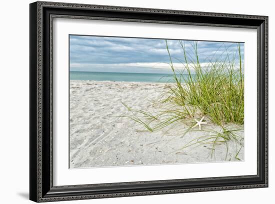 Star Fish and Sea Oats-Mary Lou Johnson-Framed Art Print