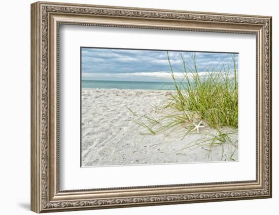 Star Fish and Sea Oats-Mary Lou Johnson-Framed Giclee Print