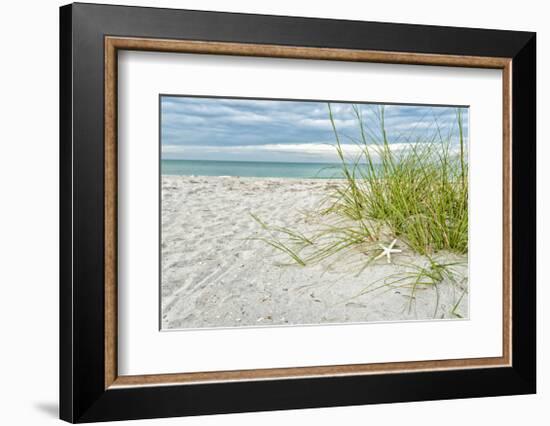 Star Fish and Sea Oats-Mary Lou Johnson-Framed Giclee Print