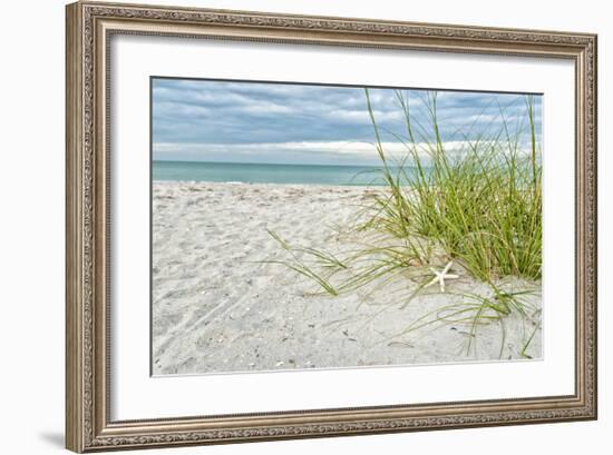 Star Fish and Sea Oats-Mary Lou Johnson-Framed Giclee Print