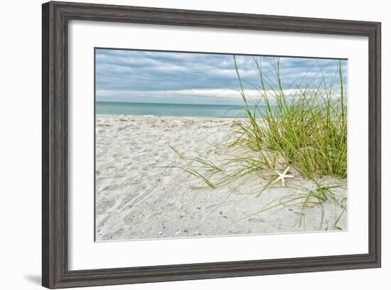 Star Fish and Sea Oats-Mary Lou Johnson-Framed Giclee Print