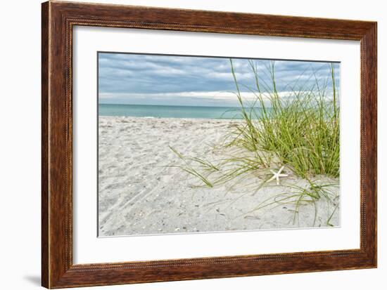 Star Fish and Sea Oats-Mary Lou Johnson-Framed Giclee Print