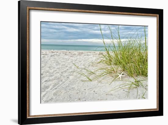 Star Fish and Sea Oats-Mary Lou Johnson-Framed Giclee Print