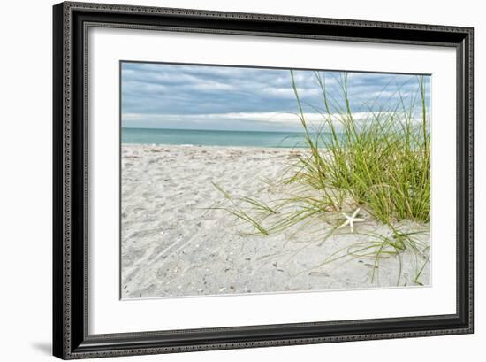 Star Fish and Sea Oats-Mary Lou Johnson-Framed Giclee Print