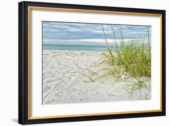 Star Fish and Sea Oats-Mary Lou Johnson-Framed Giclee Print