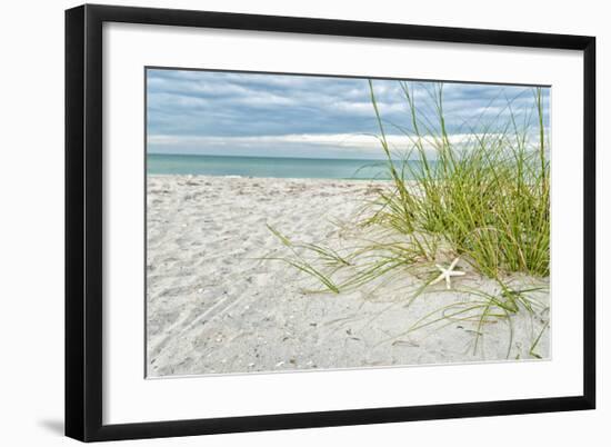 Star Fish and Sea Oats-Mary Lou Johnson-Framed Giclee Print