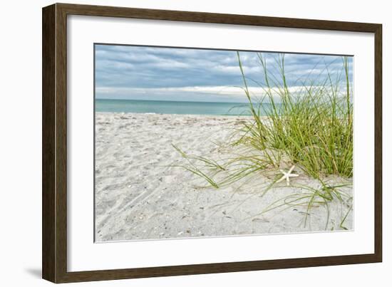 Star Fish and Sea Oats-Mary Lou Johnson-Framed Giclee Print