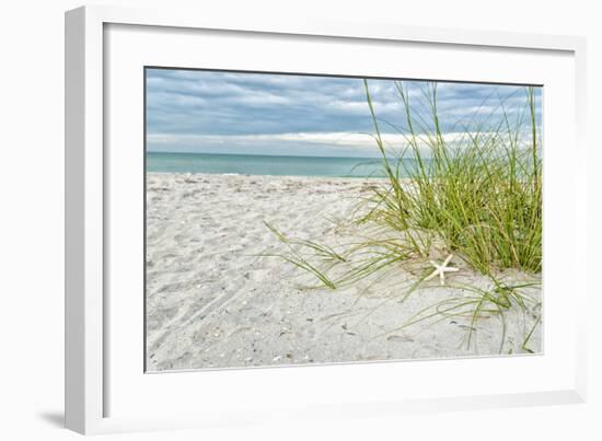 Star Fish and Sea Oats-Mary Lou Johnson-Framed Giclee Print