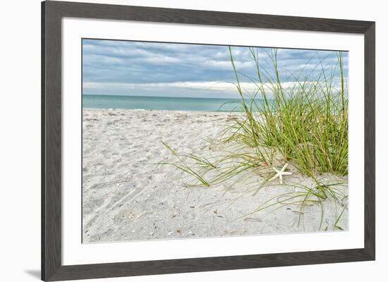 Star Fish and Sea Oats-Mary Lou Johnson-Framed Giclee Print