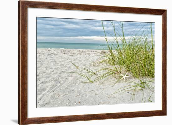 Star Fish and Sea Oats-Mary Lou Johnson-Framed Giclee Print