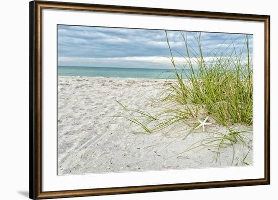 Star Fish and Sea Oats-Mary Lou Johnson-Framed Giclee Print