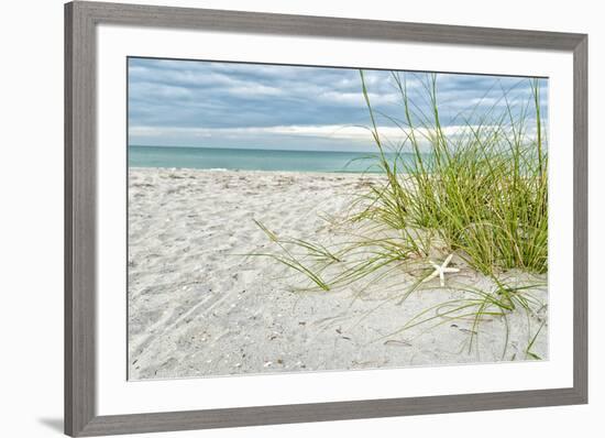 Star Fish and Sea Oats-Mary Lou Johnson-Framed Giclee Print