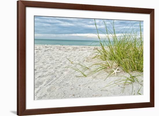 Star Fish and Sea Oats-Mary Lou Johnson-Framed Giclee Print