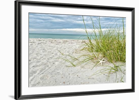 Star Fish and Sea Oats-Mary Lou Johnson-Framed Giclee Print