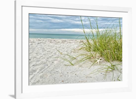 Star Fish and Sea Oats-Mary Lou Johnson-Framed Giclee Print