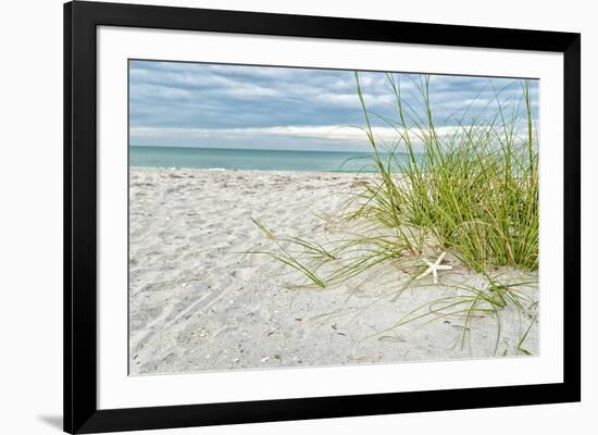 Star Fish and Sea Oats-Mary Lou Johnson-Framed Giclee Print