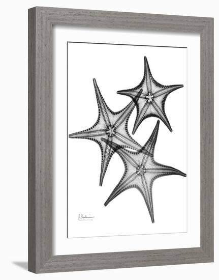 Star Fish Burst Triple-Albert Koetsier-Framed Art Print