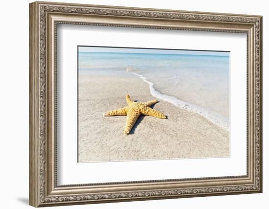 Star Fish Line of Surf-Mary Lou Johnson-Framed Art Print