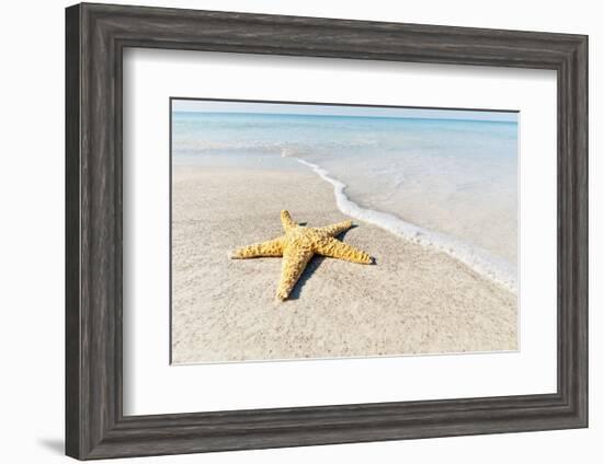 Star Fish Line of Surf-Mary Lou Johnson-Framed Art Print