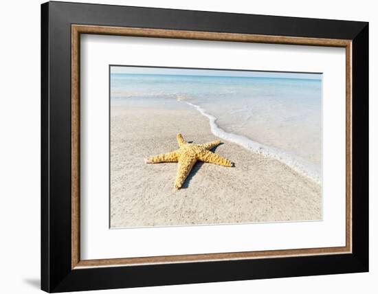 Star Fish Line of Surf-Mary Lou Johnson-Framed Art Print