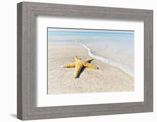 Star Fish Line of Surf-Mary Lou Johnson-Framed Art Print