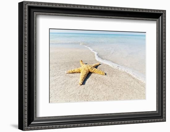 Star Fish Line of Surf-Mary Lou Johnson-Framed Art Print