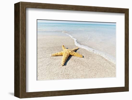 Star Fish Line of Surf-Mary Lou Johnson-Framed Art Print