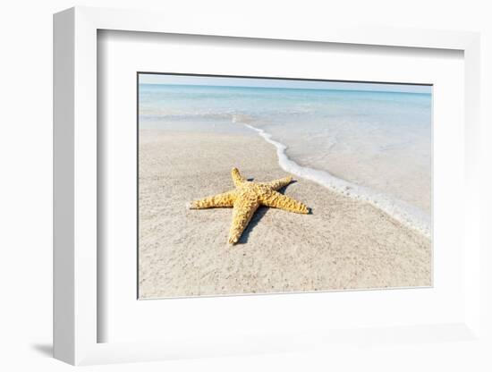 Star Fish Line of Surf-Mary Lou Johnson-Framed Art Print