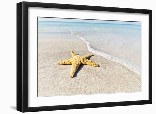 Star Fish Line of Surf-Mary Lou Johnson-Framed Art Print