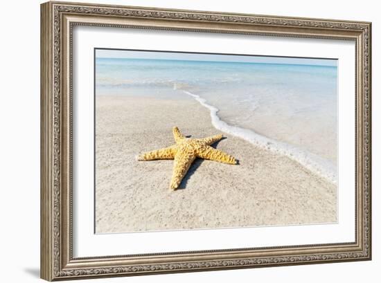 Star Fish Line of Surf-Mary Lou Johnson-Framed Art Print