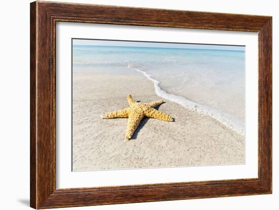 Star Fish Line of Surf-Mary Lou Johnson-Framed Art Print