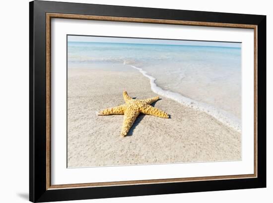 Star Fish Line of Surf-Mary Lou Johnson-Framed Art Print