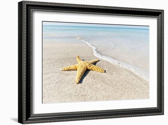 Star Fish Line of Surf-Mary Lou Johnson-Framed Art Print