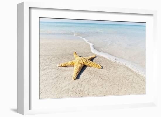 Star Fish Line of Surf-Mary Lou Johnson-Framed Art Print