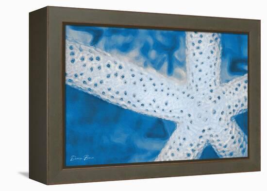 Star Fish-Denise Brown-Framed Stretched Canvas