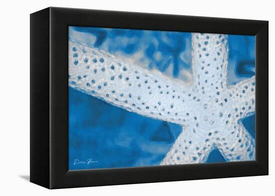 Star Fish-Denise Brown-Framed Stretched Canvas