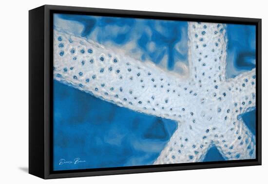 Star Fish-Denise Brown-Framed Stretched Canvas