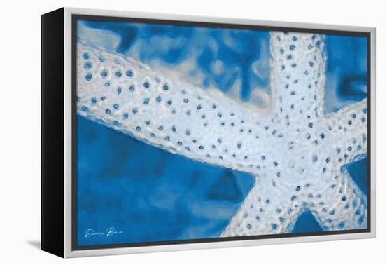 Star Fish-Denise Brown-Framed Stretched Canvas