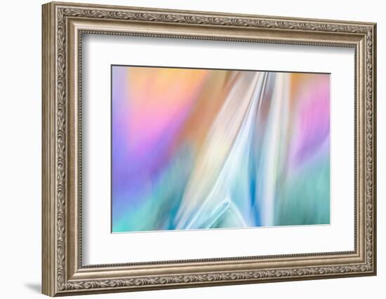 Star Force-Ursula Abresch-Framed Photographic Print