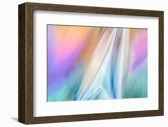 Star Force-Ursula Abresch-Framed Photographic Print