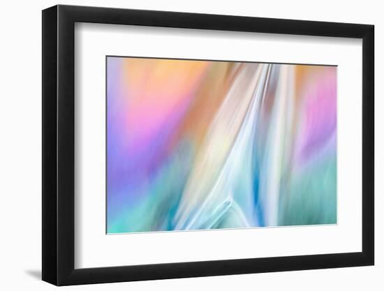 Star Force-Ursula Abresch-Framed Photographic Print