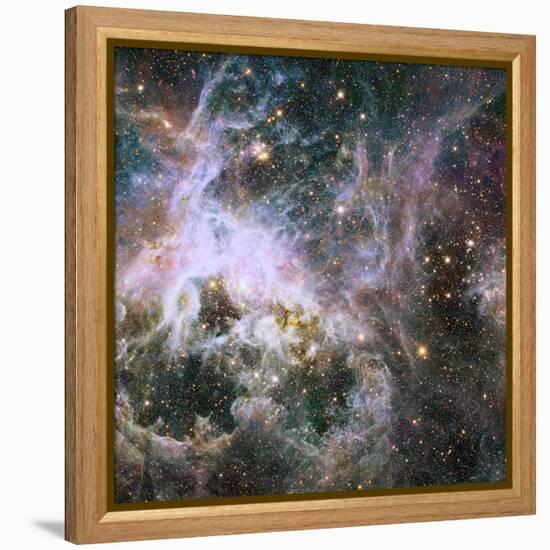 Star Formation in the Tarantula Nebula-null-Framed Premier Image Canvas