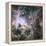 Star Formation in the Tarantula Nebula-null-Framed Premier Image Canvas