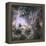 Star Formation in the Tarantula Nebula-null-Framed Premier Image Canvas