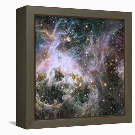 Star Formation in the Tarantula Nebula-null-Framed Premier Image Canvas