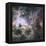 Star Formation in the Tarantula Nebula-null-Framed Premier Image Canvas