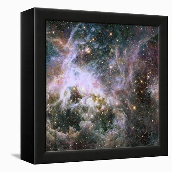 Star Formation in the Tarantula Nebula-null-Framed Premier Image Canvas