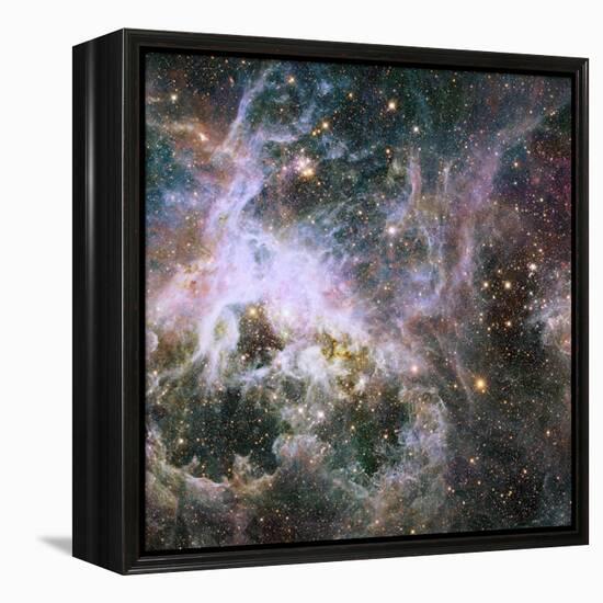 Star Formation in the Tarantula Nebula-null-Framed Premier Image Canvas